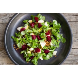 Mâche ronde maraichere - Graines de salades