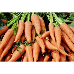 Graines de carotte nantaise amelioree 2 - Graines potagères